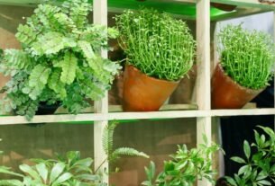 Horta vertical
