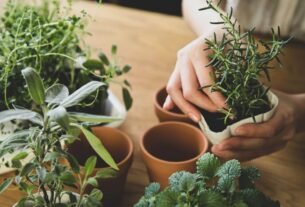 Jardins de ervas dicas e ideias