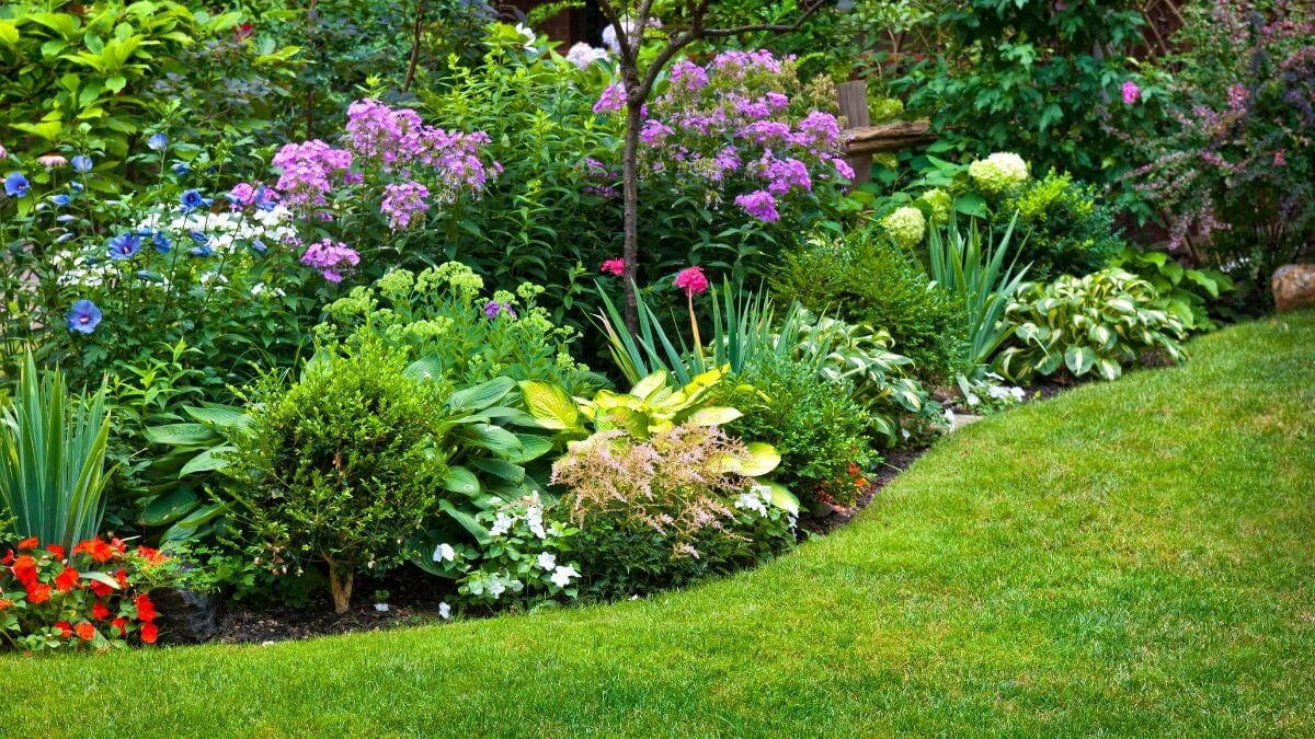 Jardim de Flores: Transforme seu Espaço com 6 Dicas e Inspirações